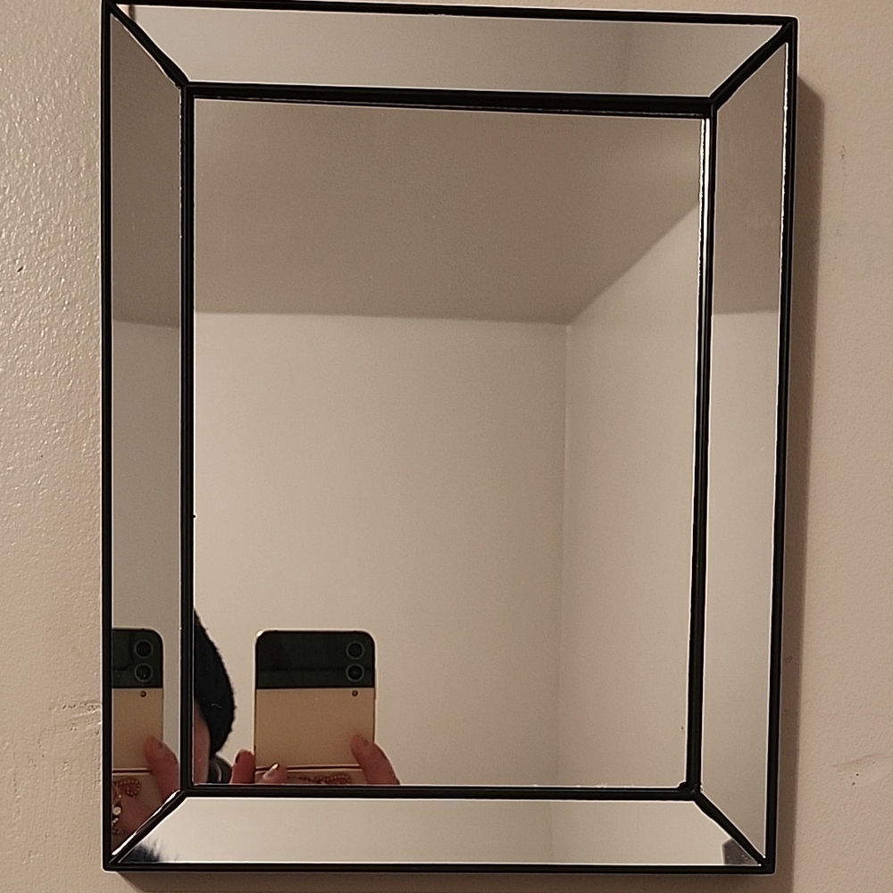 Source Unknown Modern Black Wall Mirror
